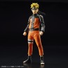 Maquette - Figure Rise - Naruto - Naruto Uzumaki