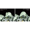 Maquette - High Grade - Gundam - Graze