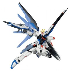 Maquette - High Grade - Gundam - Freedom