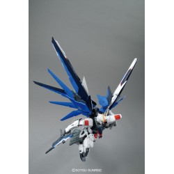 Maquette - Master Grade - Gundam - Freedom ver. 2.0
