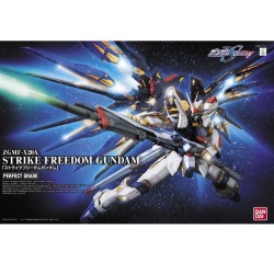 Maquette - Perfect Grade - Gundam - Strike Freedom Gundam