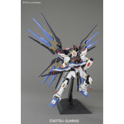 Maquette - Perfect Grade - Gundam - Strike Freedom Gundam