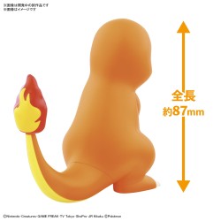 Maquette - Pokepla - Pokemon - Quick N°11 - Salamèche