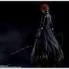 Figurine articulée - S.H.Figuarts - Bleach - TensaZangetsu - Ichigo Kurosaki