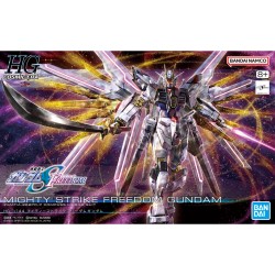 Maquette - High Grade - Gundam - Mighty Strike Freedom