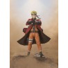 Figurine articulée - S.H.Figuarts - Naruto - Naruto Uzumaki