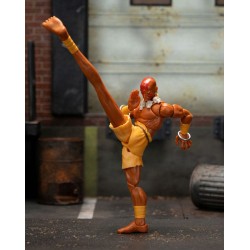 Figurine articulée - Street Fighter - Dhalsim