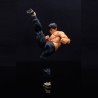 Figurine articulée - Street Fighter - Fei Long