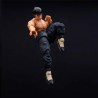 Figurine articulée - Street Fighter - Fei Long