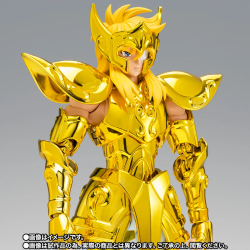 Figurine articulée - Myth Cloth EX - Saint Seiya - Hyoga du Verseau