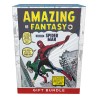 Cartes (JCC) - Gift Bundle - Magic The Gathering - "Amazing Fantasy"