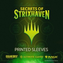 Protège-cartes - Magic The Gathering - Art Sleeves - Force de Volonté - Strixhaven