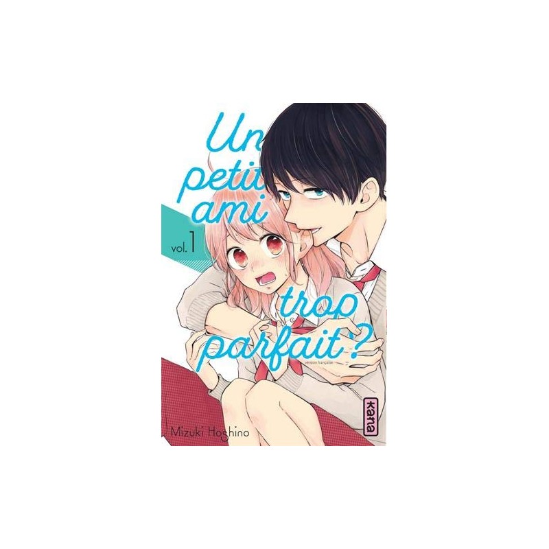 Un  Petit Ami Trop Parfait 1 à 13