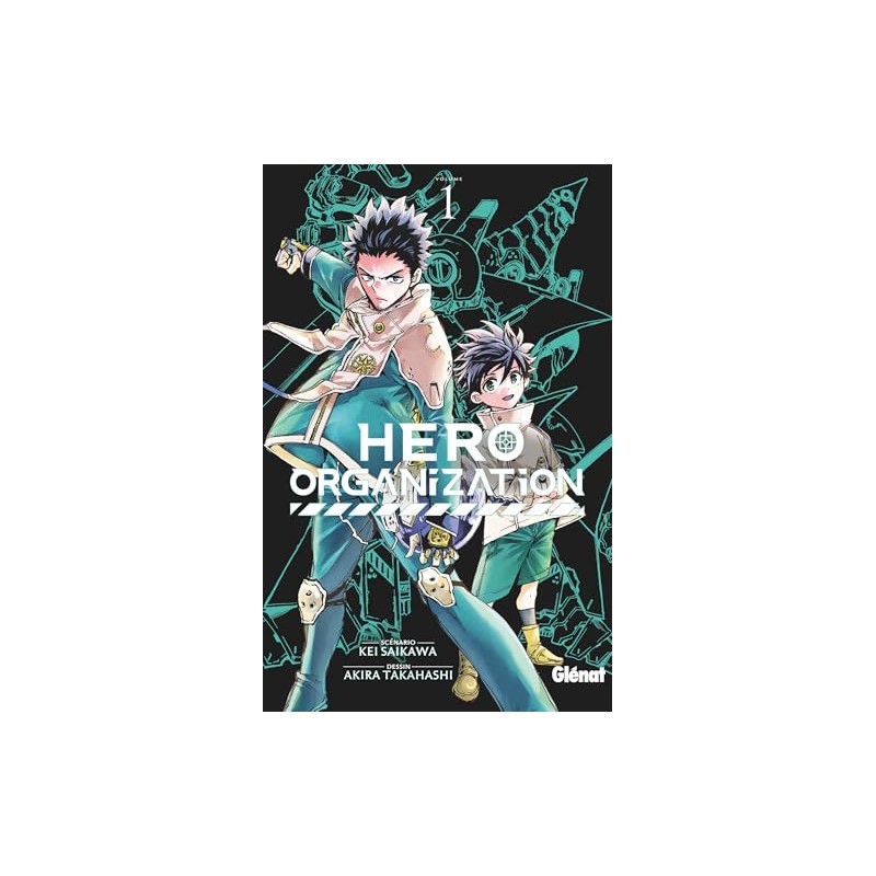 Hero Organization - Tome 1