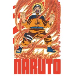 Naruto - Tome 13