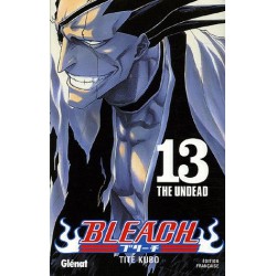 Bleach - Tome 13