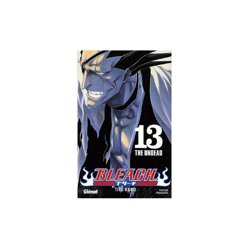 Bleach - Tome 13