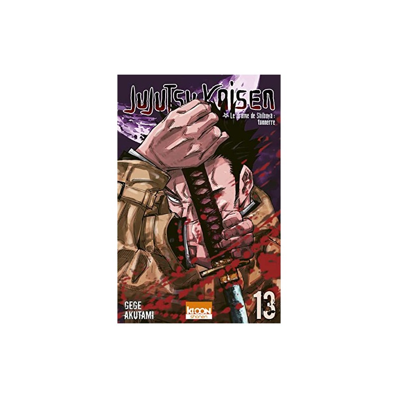 Jujutsu Kaisen - Tome 13