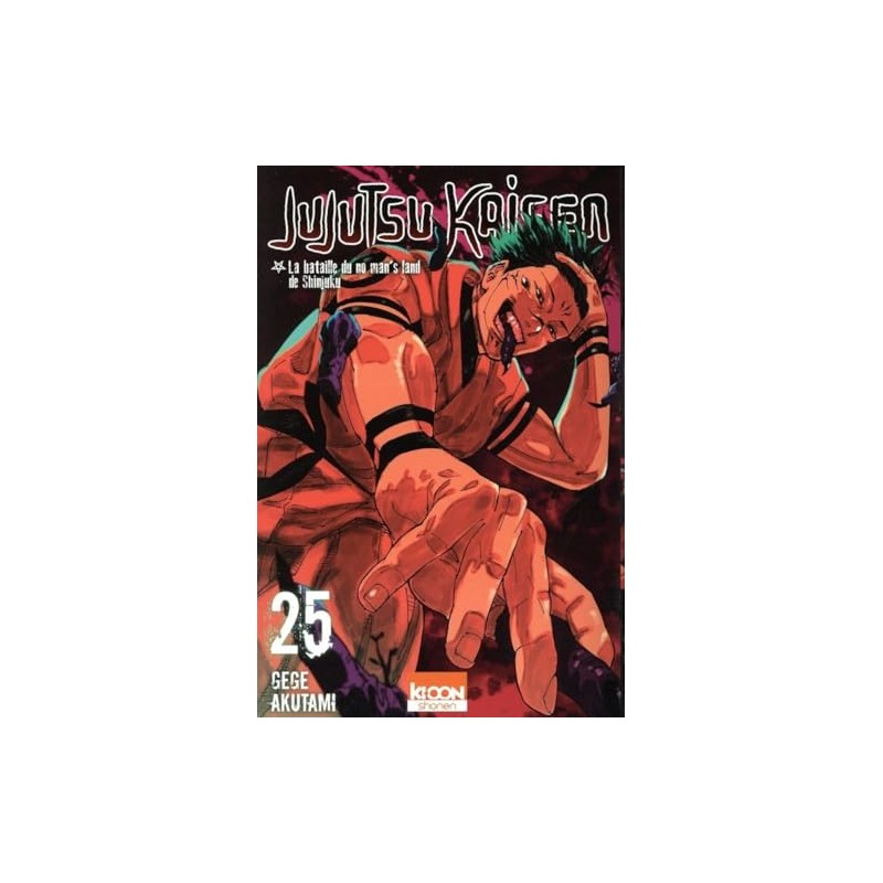 Jujutsu Kaisen - Tome 25