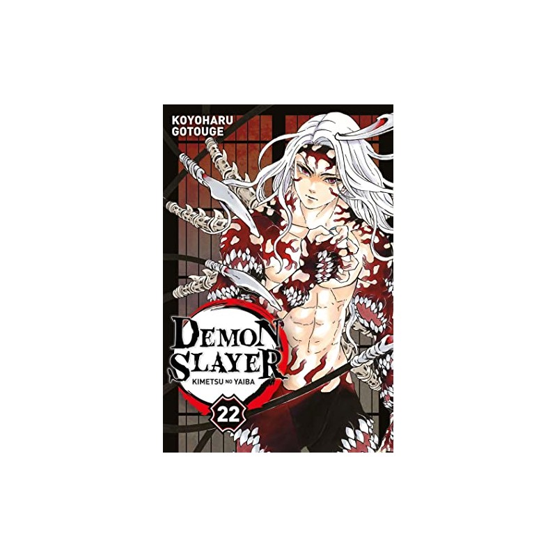 Demon Slayer - Tome 22