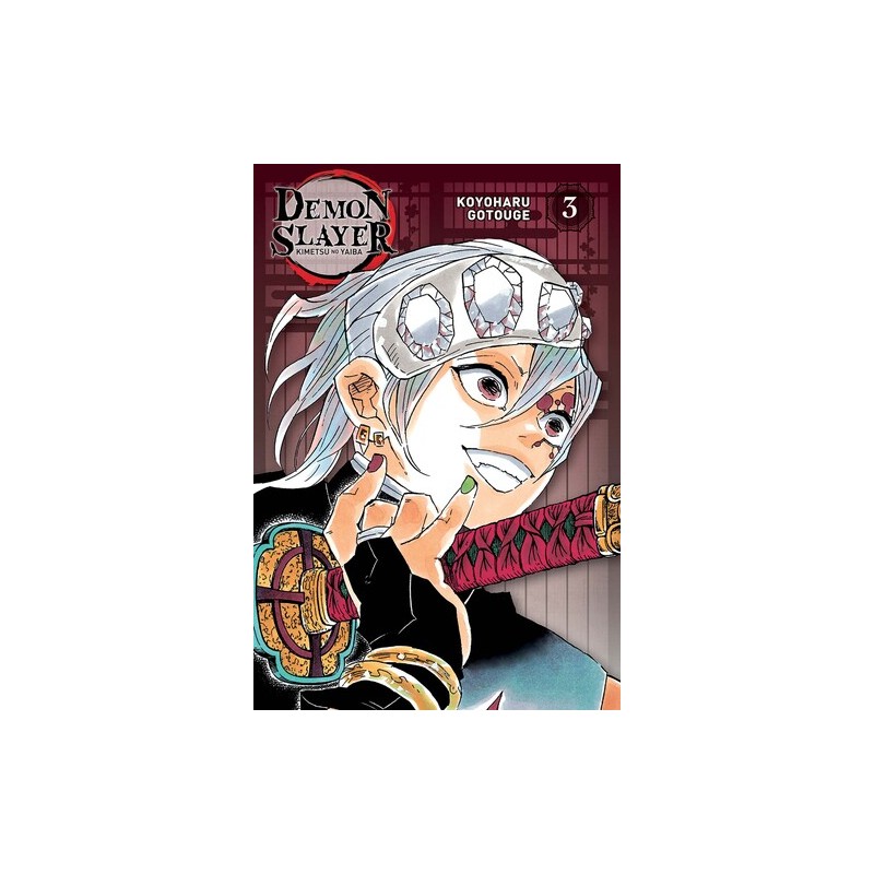 Demon Slayer - Tome 3