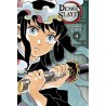 Demon Slayer - Tome 4