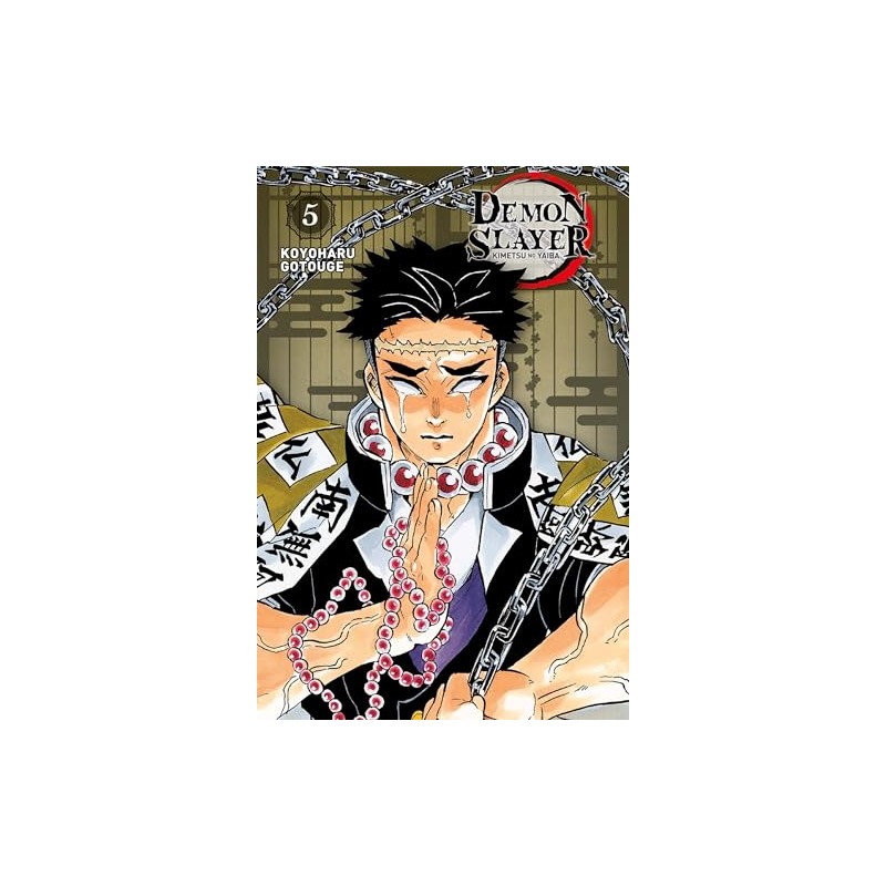Demon Slayer - Tome 5