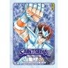 Saint Seiya - Les Chevaliers du Zodiaque - Tome 1
