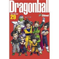 Dragon Ball - Perfect Edition - Tome 29