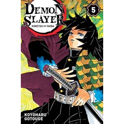 Demon Slayer - Tome 5
