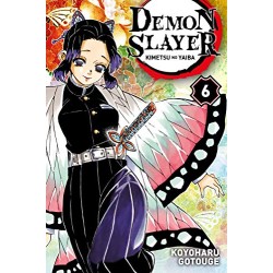 Demon Slayer - Tome 6