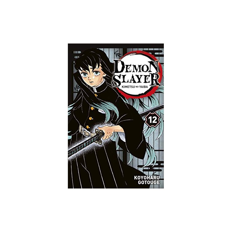 Demon Slayer - Tome 12