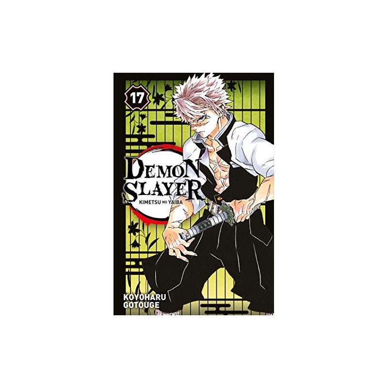 Demon Slayer - Tome 17