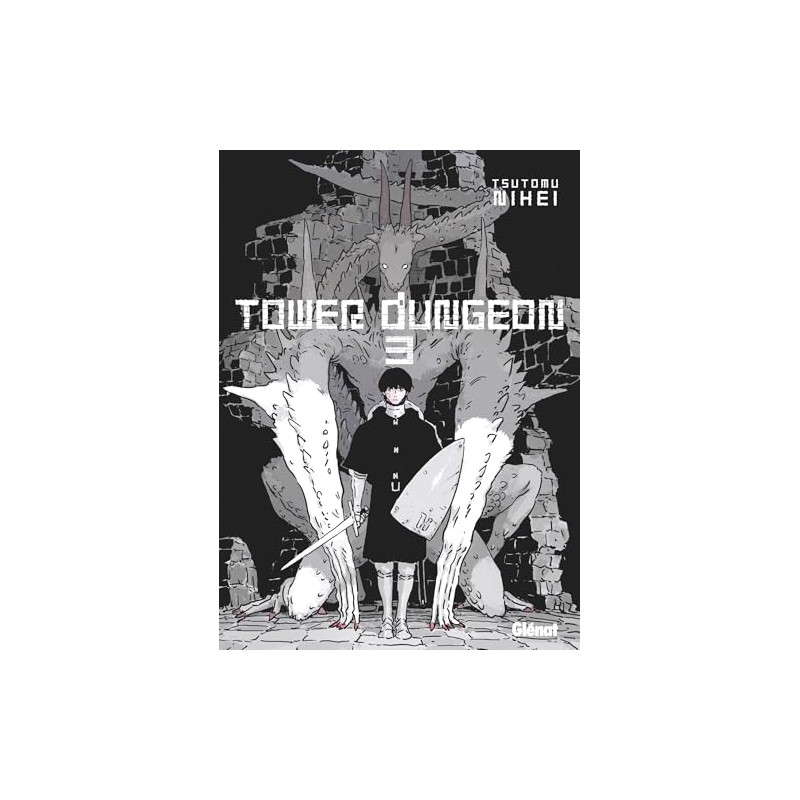 Tower Dungeon - Tome 3