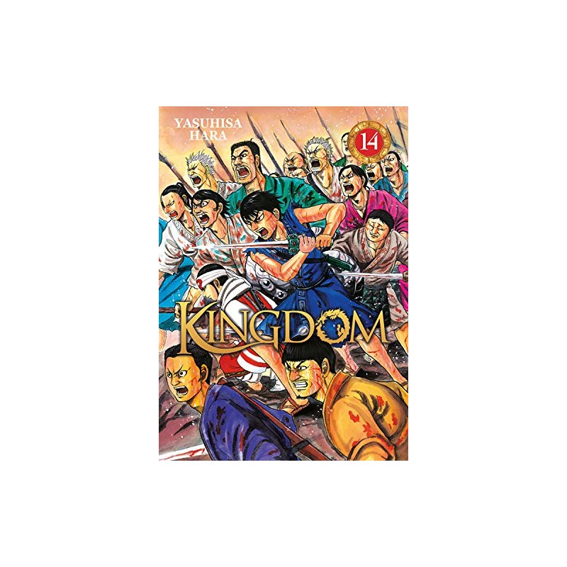Kingdom - Tome 14
