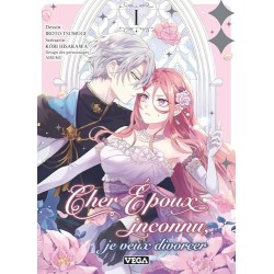 Cher époux inconnu, je veux divorcer - Tome 1