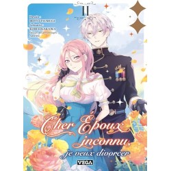Cher époux inconnu, je veux divorcer - Tome 2