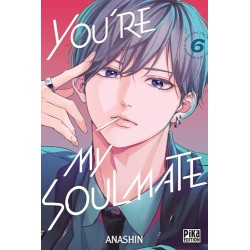 You're my Soulmate - Tome 6
