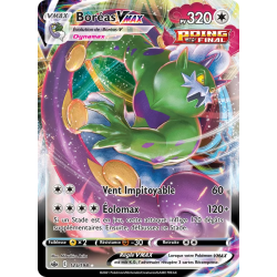 Boréas VMAX — Règne de Glace — 125 — Holo — NM