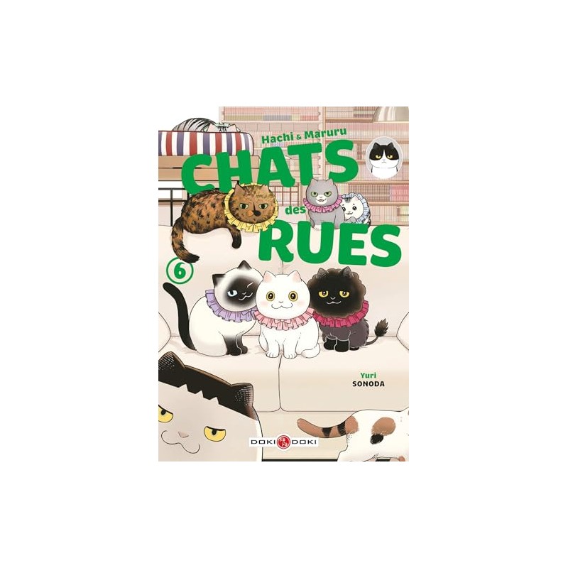 Hachi & Maruru - Chats des rues - Tome 6
