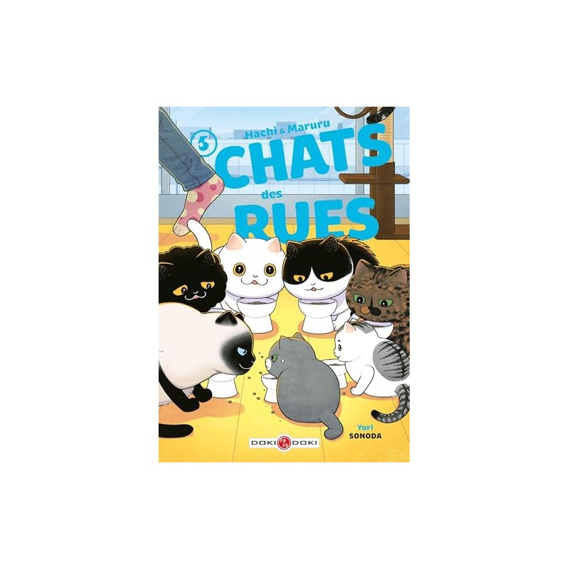 Hachi & Maruru - Chats des rues - Tome 5