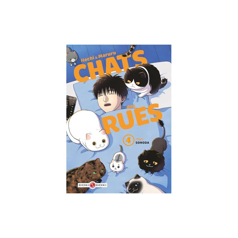 Hachi & Maruru - Chats des rues - Tome 4