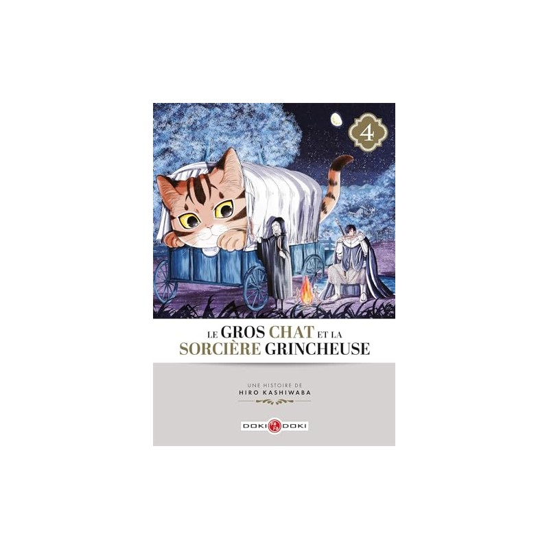 Le gros Chat et la Sorcière grincheuse - Tome 4