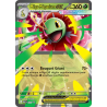 Méga-Méganium-ex — MEP Black Star Promos — 034 — Holo — NM