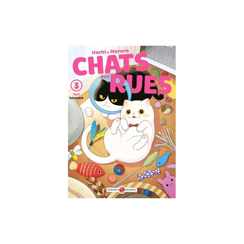 Hachi & Maruru - Chats des rues - Tome 3