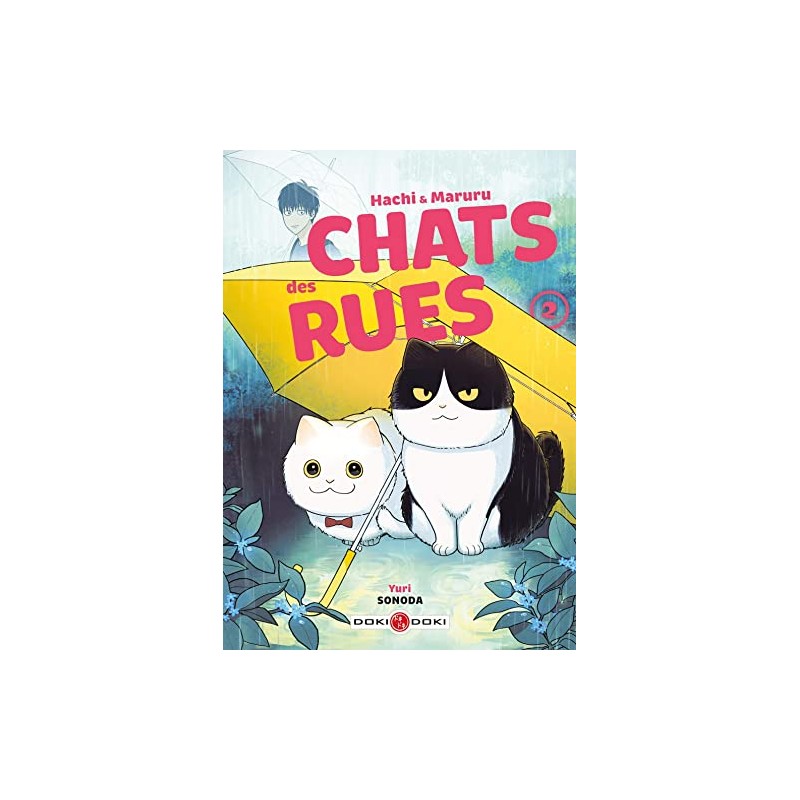 Hachi & Maruru - Chats des rues - Tome 2