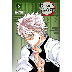 Demon Slayer - Tome 6