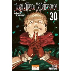 Jujutsu Kaisen - Tome 30