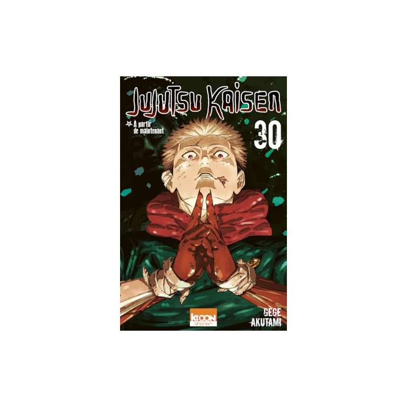 Jujutsu Kaisen - Tome 30