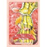 Saint Seiya - Les Chevaliers du Zodiaque - Tome 8